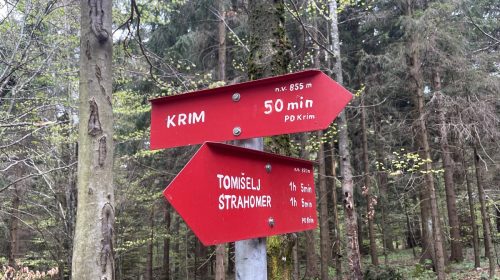 Popotovanje od kmetije do volišča