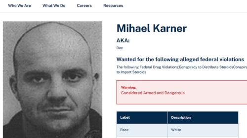 najbolj nevarne stvari v sloveniji so samoumevne, kot mihael karner ubežnik